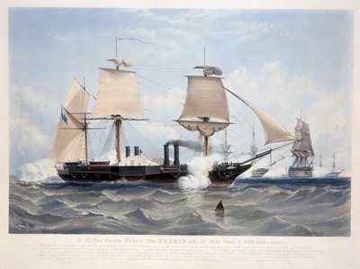 HMS Terrible (engraved by Henry Papprill) 1845 by W. after Knell